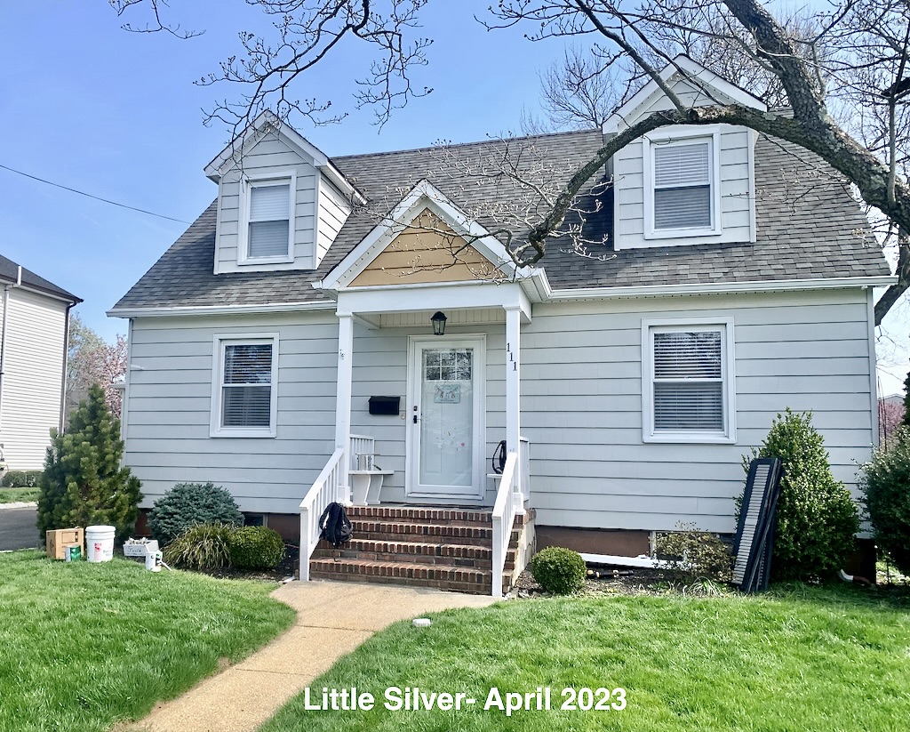 little silver home